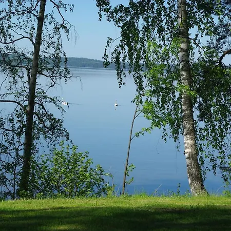 Tiiramoekki Parikkala