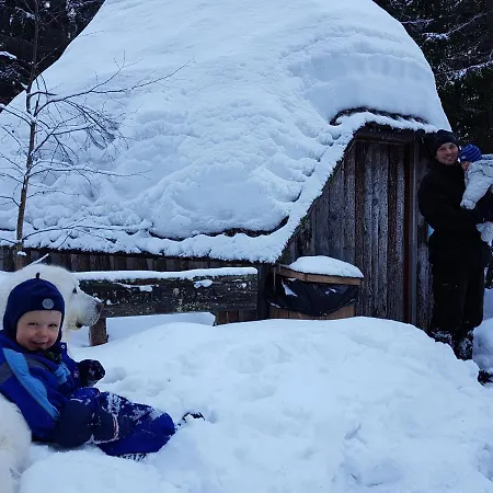 Tiiramoekki פריקלה