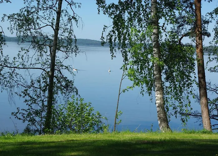 Tiiramoekki Parikkala