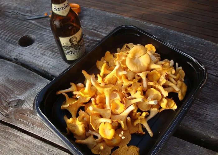 Tiiramoekki וילה פריקלה